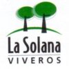 Viveros, Jardinería y Proyectos La Solana S.L.